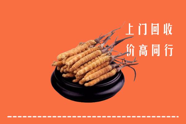 三明市明溪县回收散虫草