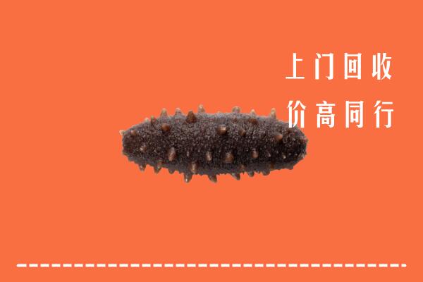 高价求购：三明市明溪县回收海参