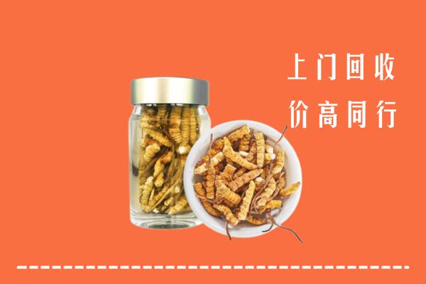 三明市明溪县回收冬虫夏草